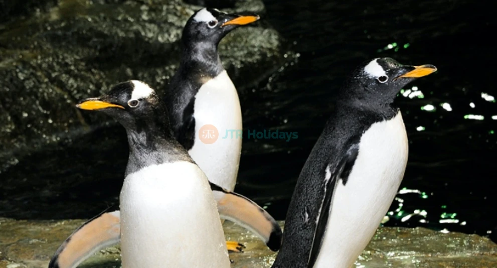 セントラルパーク動物園チケット（ニューヨーク） - 画像 1 の 5