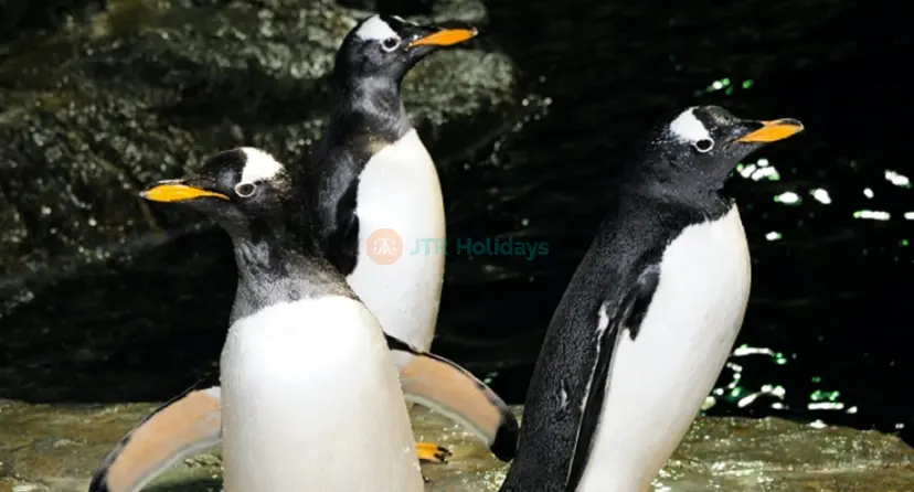 セントラルパーク動物園チケット（ニューヨーク） - Image 1 of 9