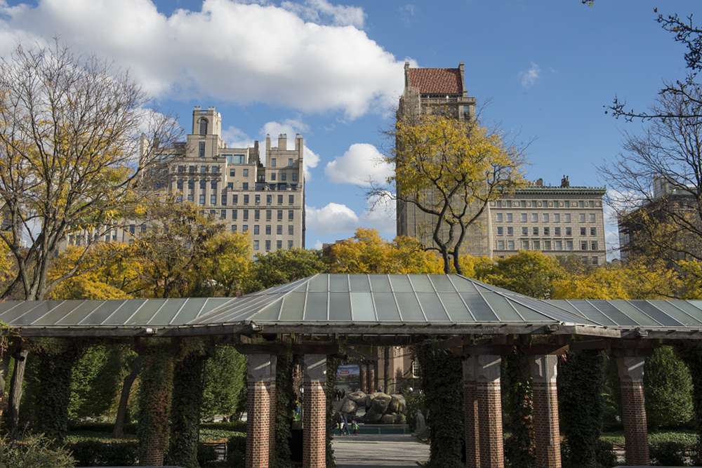 Entrada al Zoológico de Central Park Nueva York - Imagen 3 de 5