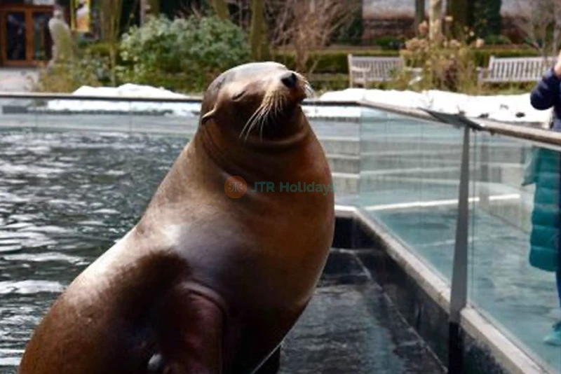 Central Park Zoo Ticket New York - Image 7 of 9