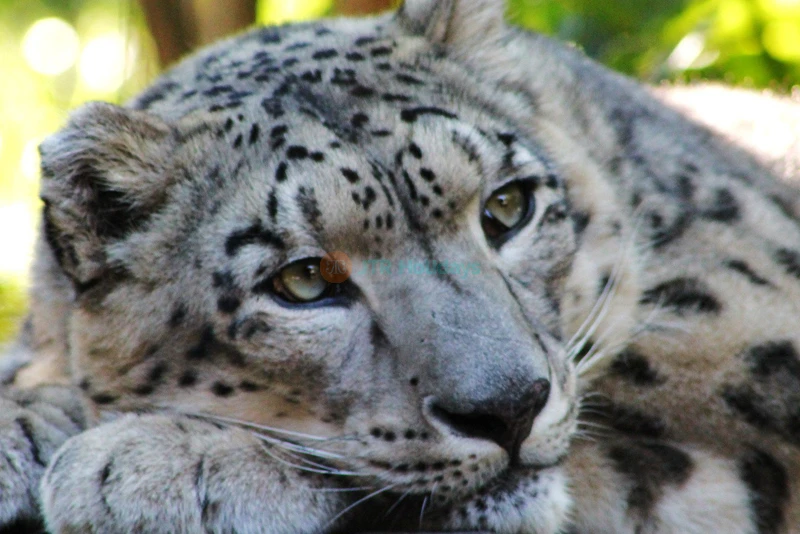 Central Park Zoo Ticket New York - Image 8 of 9