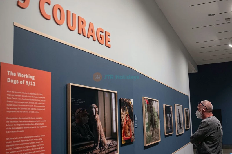 9/11 Memorial & Museum - Honoring the Heroes and Victims of 9/11 - JTR Holidays - Image 7 of 10