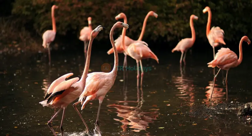 Bronx Zoo Tickets - Image 1 of 7
