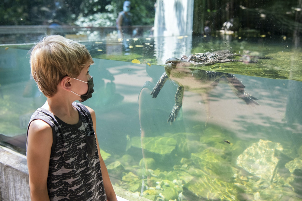 Bronx Zoo Tickets - Image 2 of 7