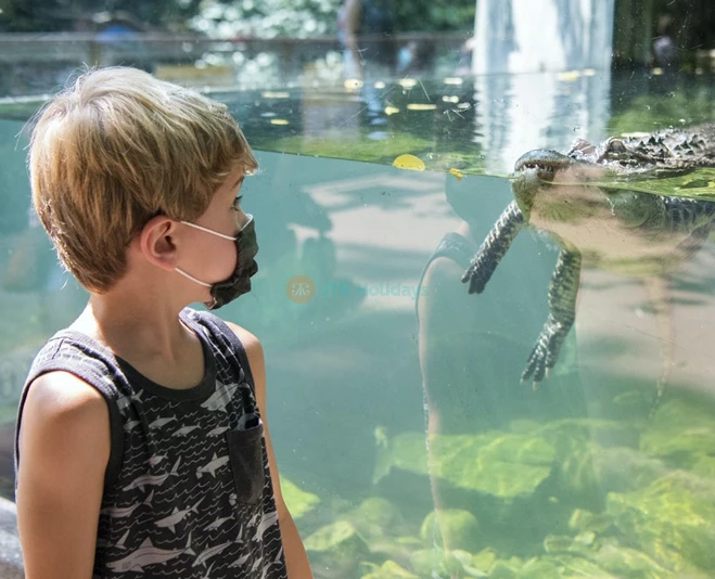 Bronx Zoo Tickets - Image 2 of 5