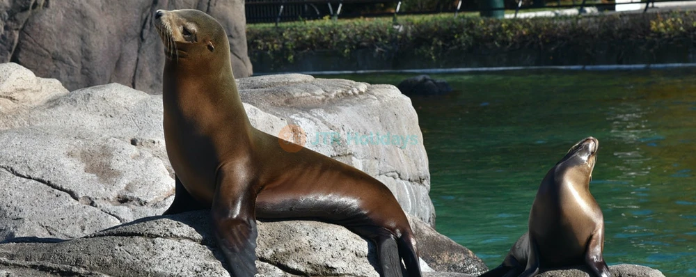 Bronx Zoo Tickets - Image 3 of 5