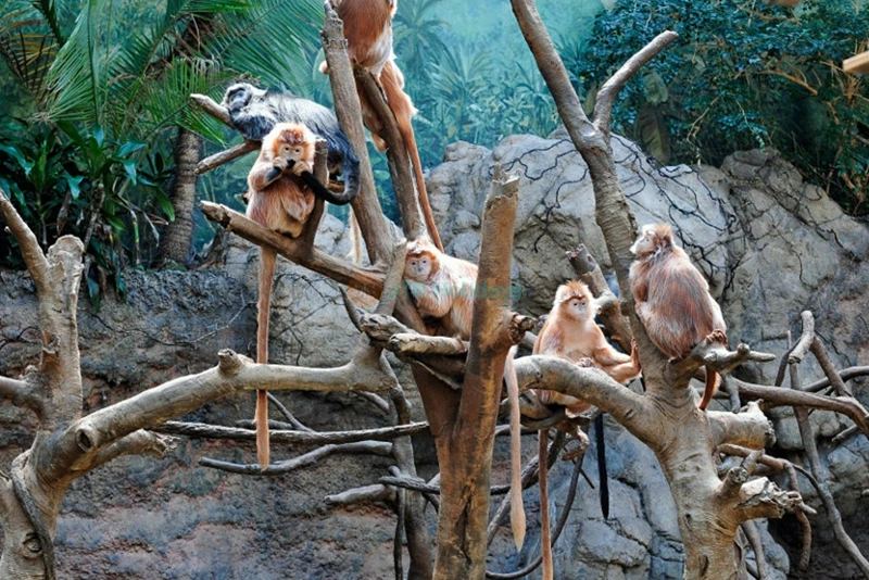 Bronx Zoo Tickets - Explore New York's Largest Urban Zoo - JTR Holidays