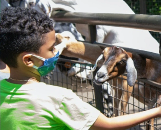 Central Park Zoo Ticket New York - Image 5 of 5