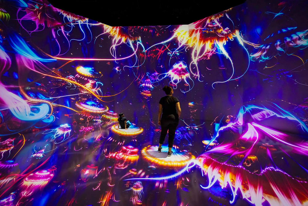 ARTECHOUSE New York - Image 6 of 7