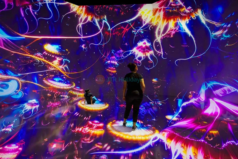 ARTECHOUSE New York City - Immersive Art & Technology Experience - JTR Holidays