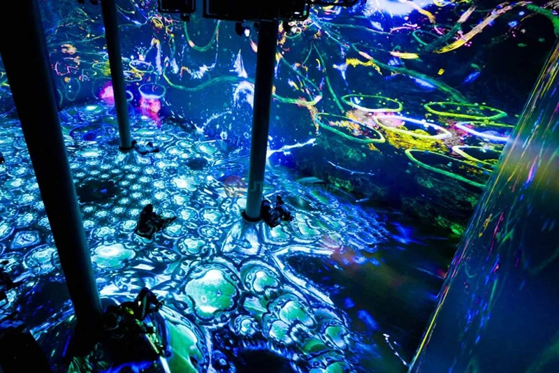 ARTECHOUSE New York City - Immersive Art & Technology Experience - JTR Holidays