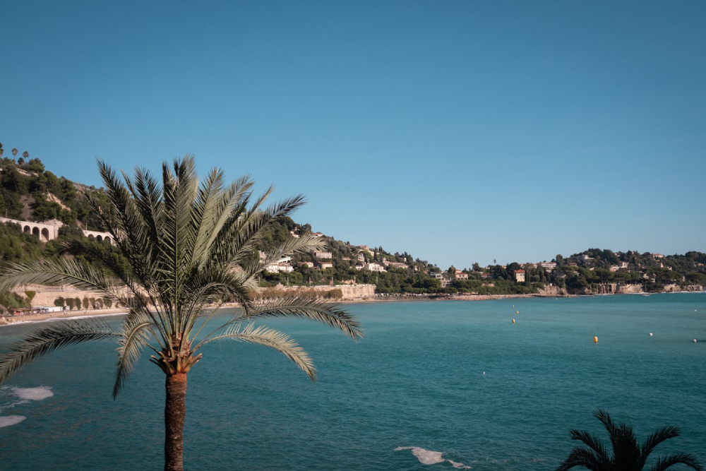 Villa Kerylos - Image 5 of 5