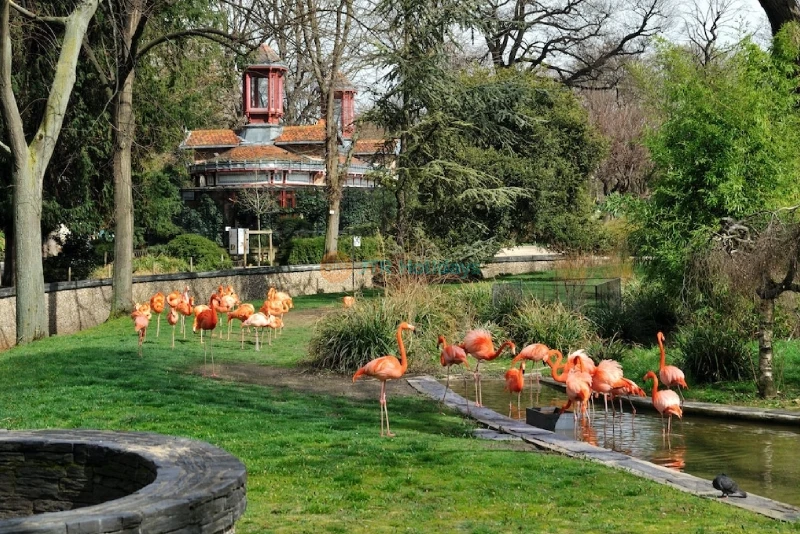 Menagerie, Zoo of the Jardin des Plantes - Wildlife, History & Conservation - JTR Holidays - Image 6 of 6