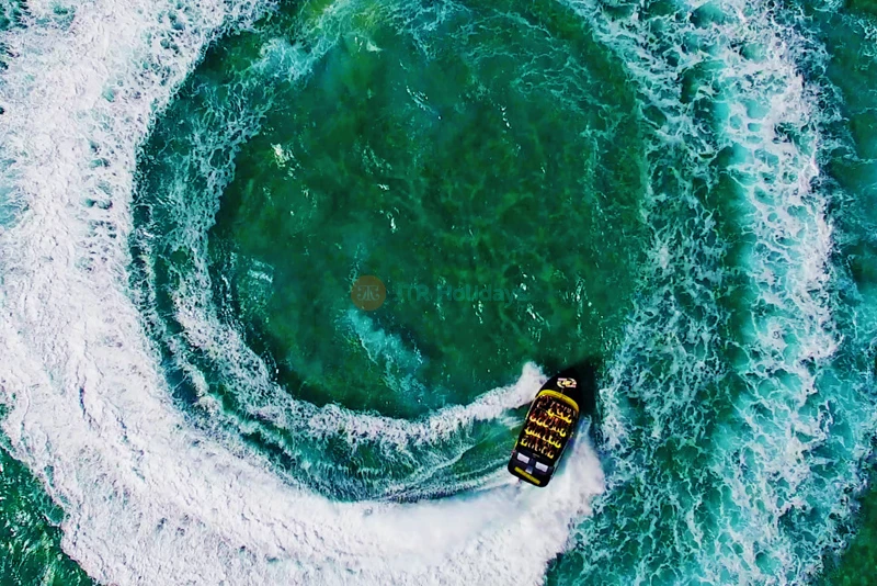 Jet Boat Extreme Gold Coast | Thrilling High-Speed Adventure - JTR Holidays - Image 6 of 8