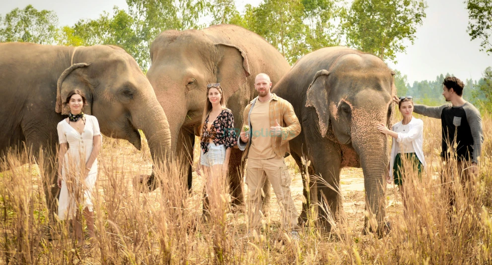 Elephant Jungle Sanctuary Pattaya - Ethical Elephant Experience & Adventure - JTR Holidays - Image 1 of 5