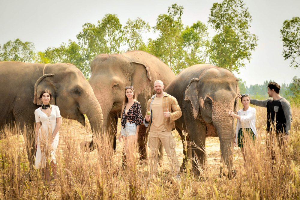 Elephant Jungle Sanctuary Паттайя - Elephant Jungle Sanctuary Паттайя предлагает этичный и незабываемый опыт общения со спасёнными слонами. Посетите Elephant Jungle Sanctuary Паттайя, чтобы покормить, поиграть и сделать фотографии с добрыми гигантами в безопасной среде. Наслаждайтесь веселым грязевым спа и купайте слонов в наружном душе в Elephant Jungle Sanctuary Паттайя. Узнайте о уходе за слонами и поддержите ответственный туризм в Elephant Jungle Sanctuary Паттайя. Создайте незабываемые воспоминания от близких встреч в Elephant Jungle Sanctuary Паттайя, обязательном для посещения месте для любителей животных. Elephant Jungle Sanctuary Паттайя - Изображение 1 из 5