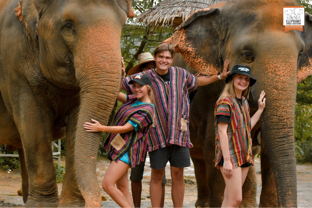 Elephant Jungle Sanctuary Паттайя - Изображение 3 из 5
