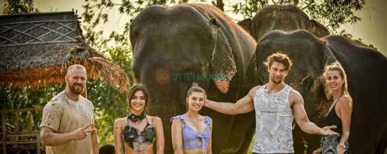 Elephant Jungle Sanctuary Pattaya - Ethical Elephant Experience & Adventure - JTR Holidays