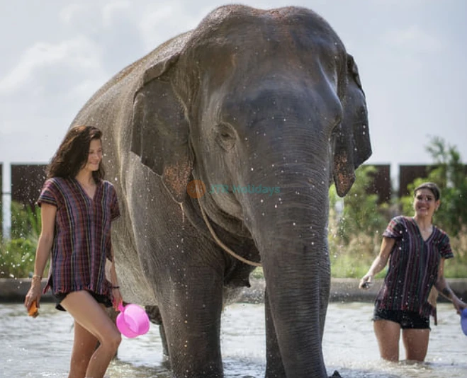 Elephant Jungle Sanctuary Pattaya - Ethical Elephant Experience & Adventure - JTR Holidays - Image 2 of 5