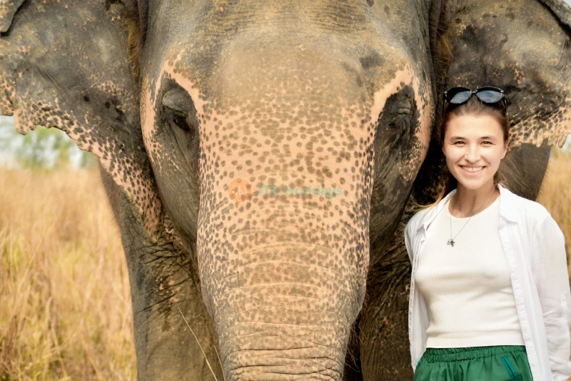 Elephant Jungle Sanctuary Pattaya - Ethical Elephant Experience & Adventure - JTR Holidays