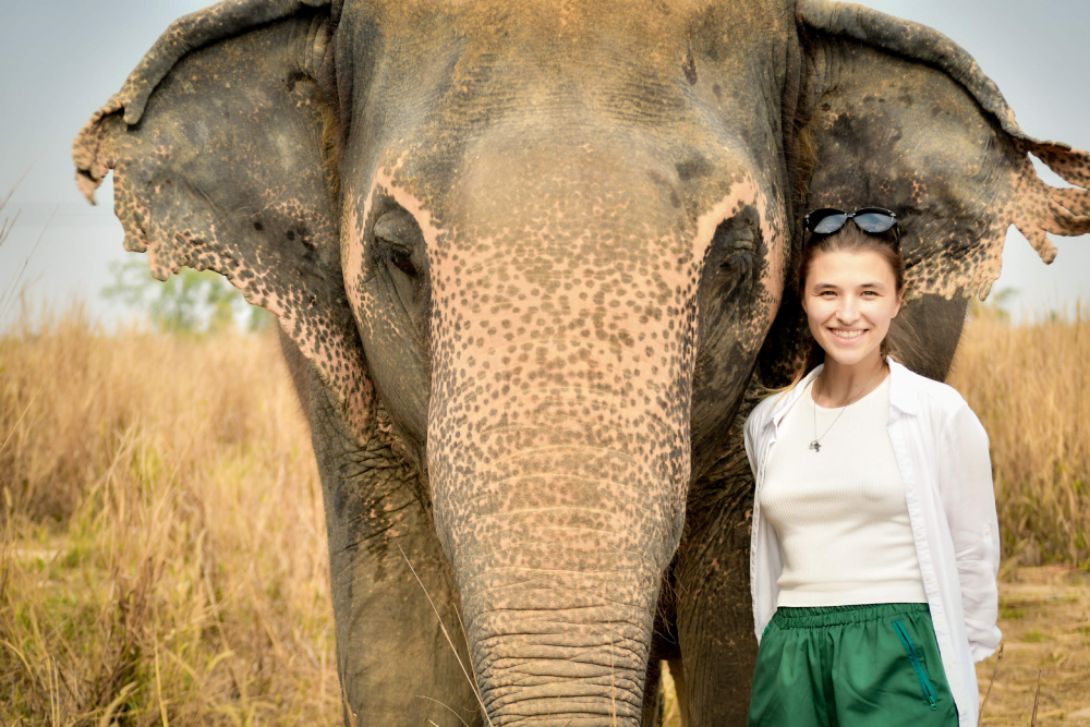 Elephant Jungle Sanctuary Pattaya - Image 6 of 6