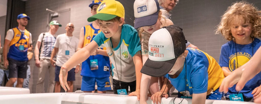 Optus Stadium in Perth - Image 4 of 5