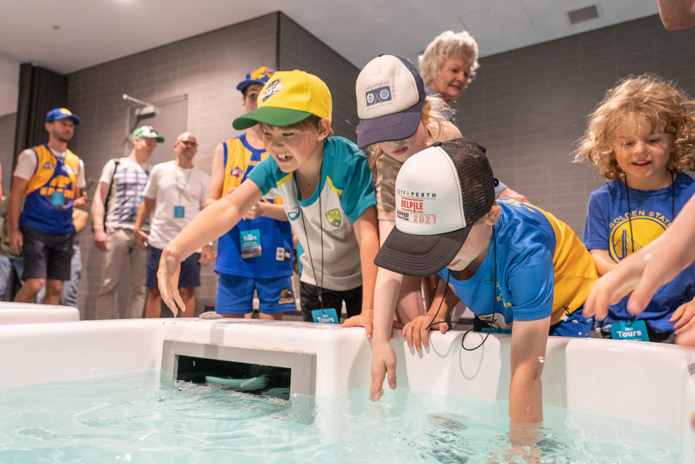 Optus Stadium in Perth - Image 4 of 5