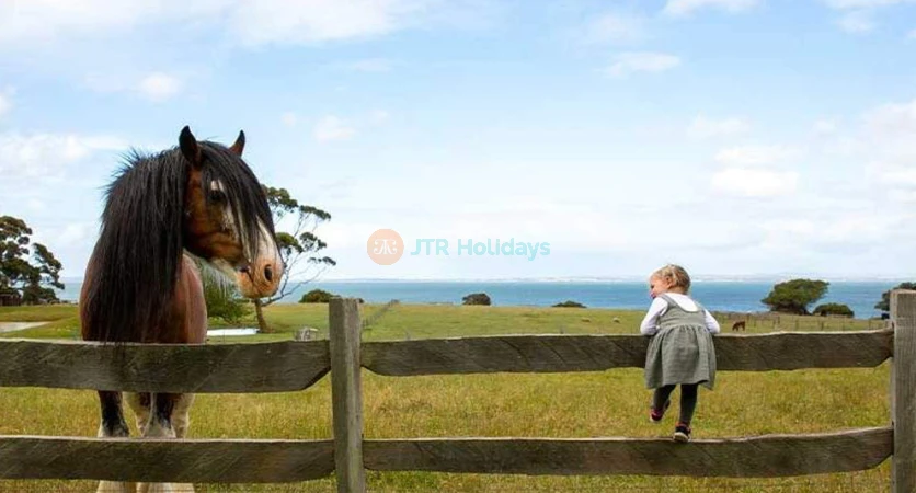 Churchill Island - Historic Farm and Nature Experience in Victoria - JTR Holidays