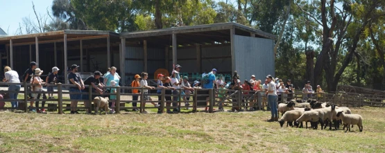 Churchill Island - Historic Farm and Nature Experience in Victoria - JTR Holidays