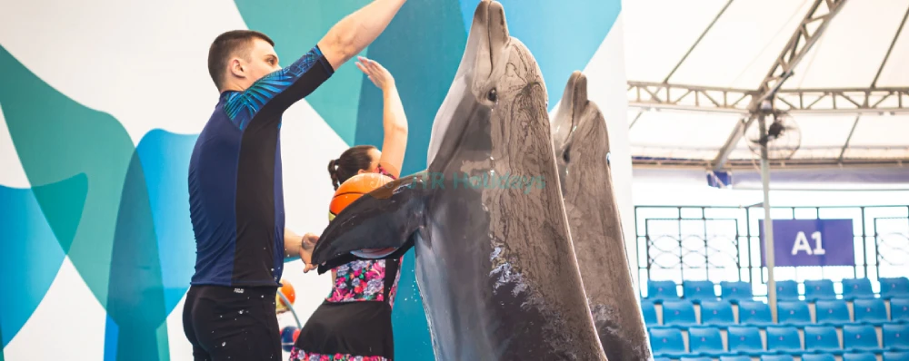 Dolphinarium Pattaya - Swim, Play & Enjoy Spectacular Dolphin Shows - JTR Holidays - Image 4 of 5