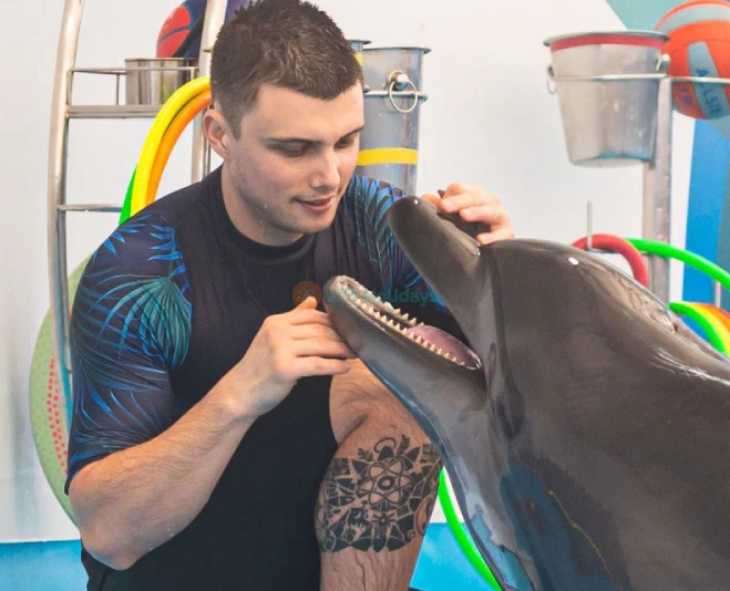 Dolphinarium Pattaya - Swim, Play & Enjoy Spectacular Dolphin Shows - JTR Holidays - Image 5 of 5