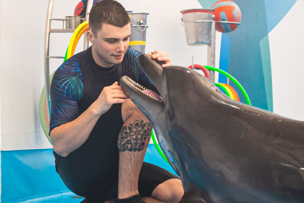 Дельфинарий Паттайя - Изображение 5 из 5