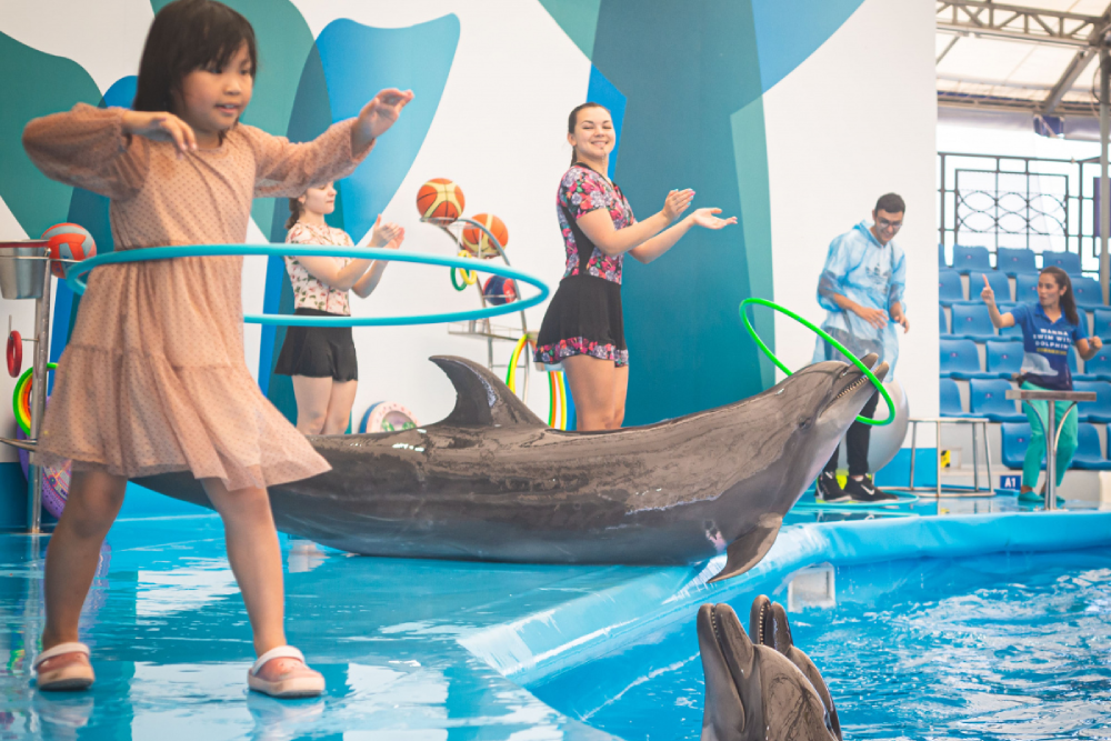 Дельфинарий Паттайя - Image 6 of 7