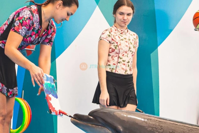 Dolphinarium Pattaya - Swim, Play & Enjoy Spectacular Dolphin Shows - JTR Holidays - Image 7 of 7