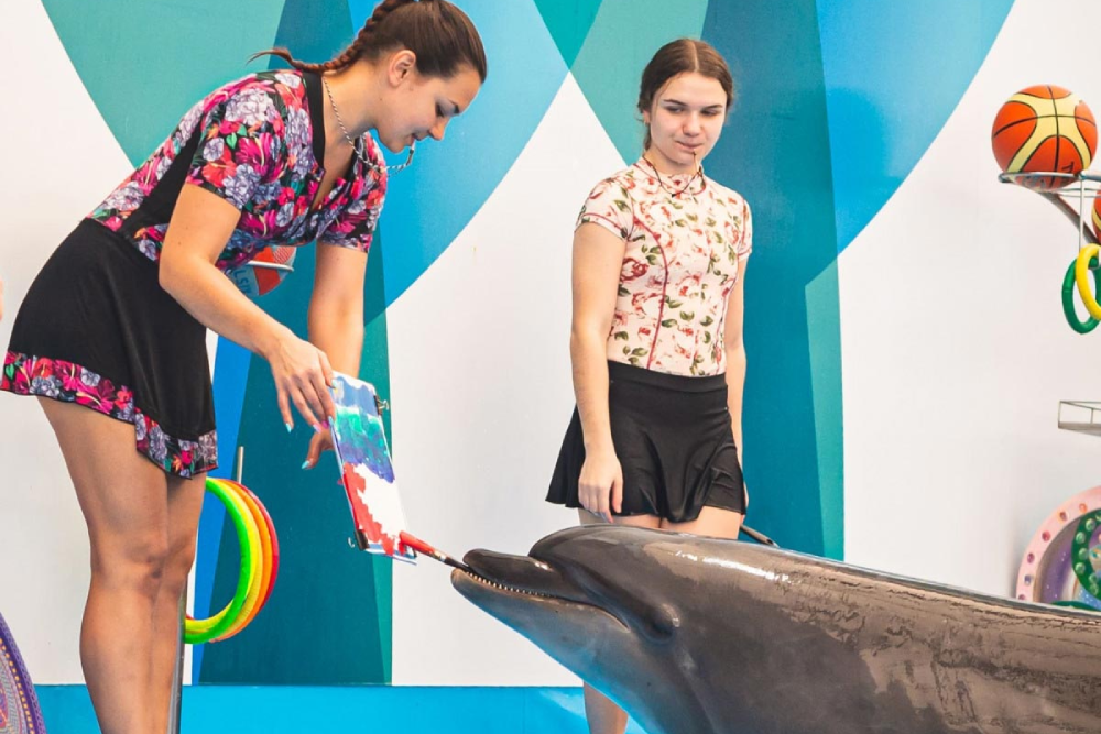 Дельфинарий Паттайя - Image 7 of 7