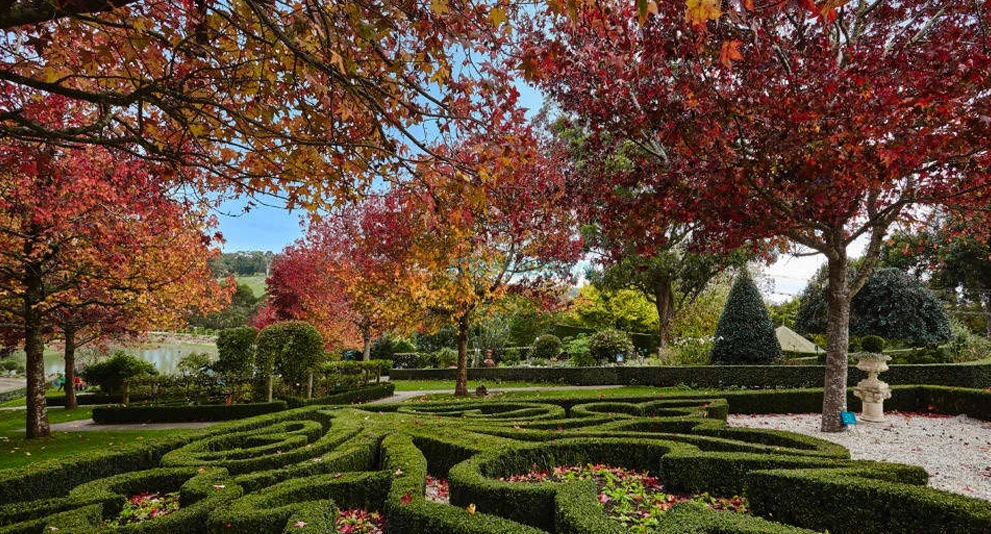 Enchanted Adventure Tickets - Image 1 of 5