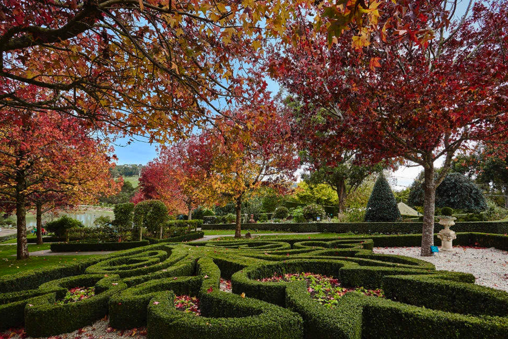 Enchanted Adventure Tickets - Image 1 of 7