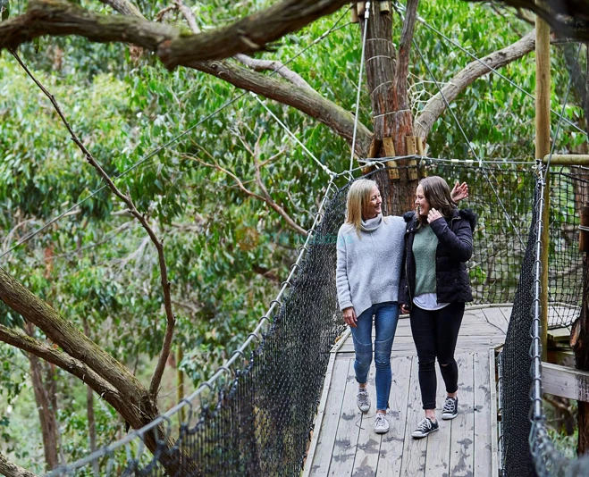 Enchanted Adventure Tickets - Image 2 of 5