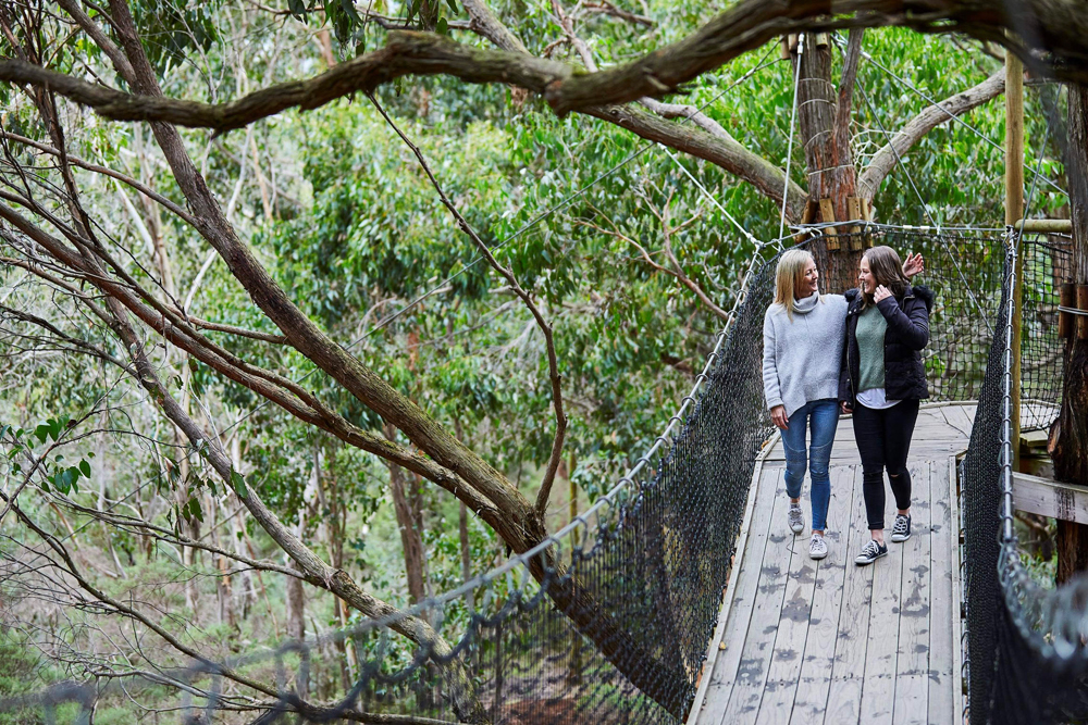 Enchanted Adventure Tickets - Image 2 of 7