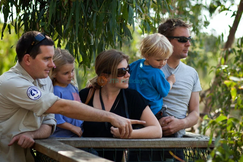 Entrada a la Reserva de Conservación de Koalas en la Isla Phillip - Image 7 of 7