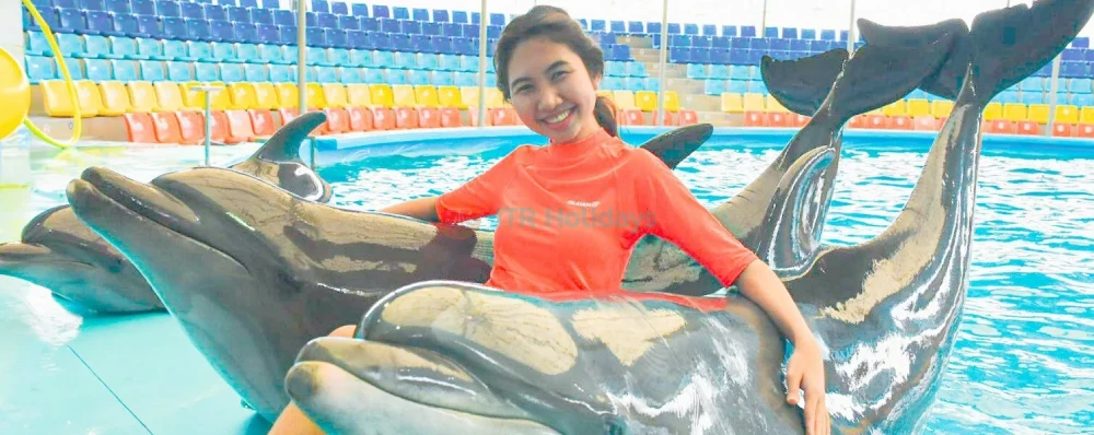 Dolphins Bay Phuket - Meet Dolphins & Enjoy Amazing Performances - JTR Holidays - Image 3 of 5