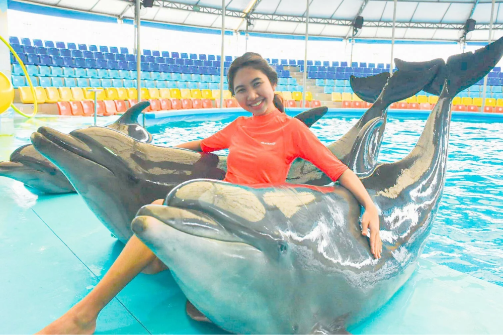 Dolphins Bay Phuket - Dolphins Bay Phuket is the only dolphinarium in Phuket where you can meet dolphins up close. At Dolphins Bay Phuket, enjoy amazing performances by dolphins and professional trainers. Learn about marine life and how to protect the ocean while having fun at Dolphins Bay Phuket. Whether you're watching the dolphins perform or interacting with them, Dolphins Bay Phuket offers an unforgettable experience for everyone. Don’t miss the chance to visit Dolphins Bay Phuket for a unique and educational adventure. Dolphins Bay Phuket - Image 3 of 5