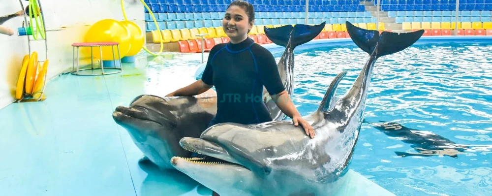 Dolphins Bay Phuket - Meet Dolphins & Enjoy Amazing Performances - JTR Holidays - Image 4 of 5