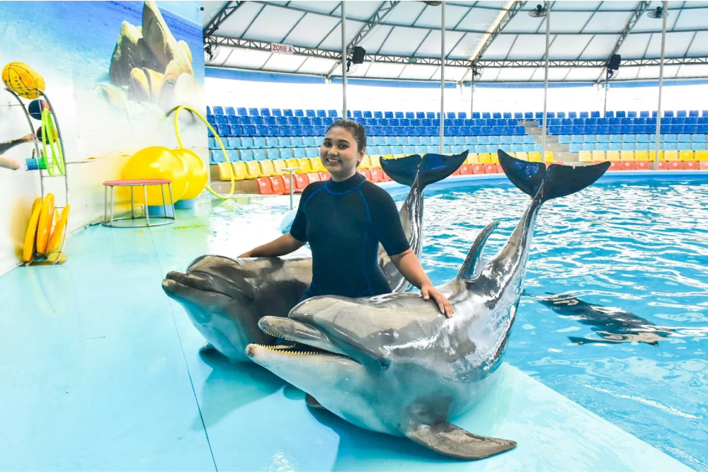 Dolphins Bay Phuket - Dolphins Bay Phuket is the only dolphinarium in Phuket where you can meet dolphins up close. At Dolphins Bay Phuket, enjoy amazing performances by dolphins and professional trainers. Learn about marine life and how to protect the ocean while having fun at Dolphins Bay Phuket. Whether you're watching the dolphins perform or interacting with them, Dolphins Bay Phuket offers an unforgettable experience for everyone. Don’t miss the chance to visit Dolphins Bay Phuket for a unique and educational adventure. Dolphins Bay Phuket - Image 4 of 5