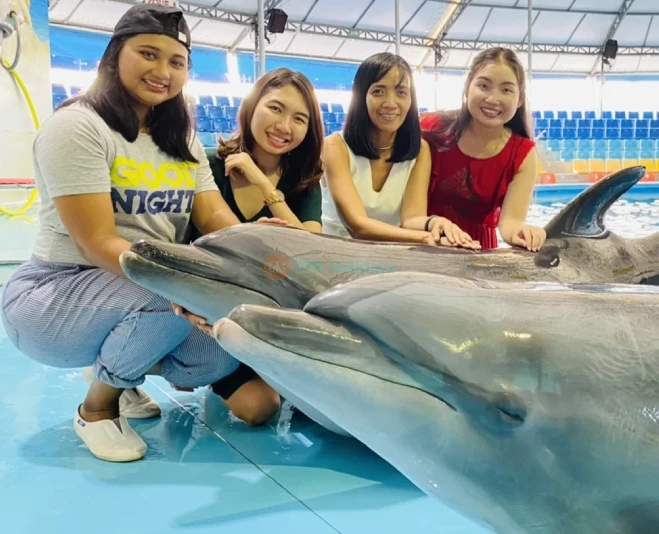 Dolphins Bay Phuket - Meet Dolphins & Enjoy Amazing Performances - JTR Holidays - Image 2 of 5