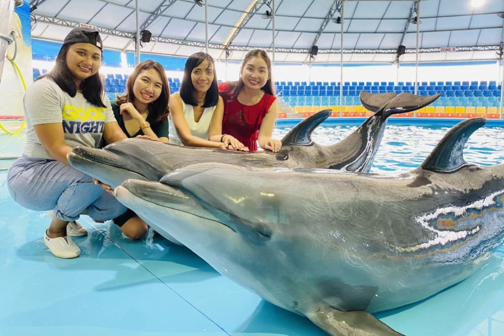 Dolphins Bay Phuket - Dolphins Bay Phuket is the only dolphinarium in Phuket where you can meet dolphins up close. At Dolphins Bay Phuket, enjoy amazing performances by dolphins and professional trainers. Learn about marine life and how to protect the ocean while having fun at Dolphins Bay Phuket. Whether you're watching the dolphins perform or interacting with them, Dolphins Bay Phuket offers an unforgettable experience for everyone. Don’t miss the chance to visit Dolphins Bay Phuket for a unique and educational adventure. Dolphins Bay Phuket - Image 2 of 5