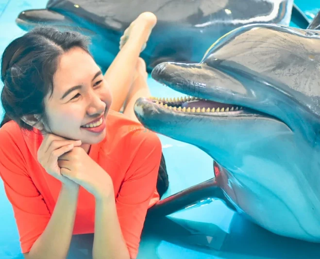 Dolphins Bay Phuket - Meet Dolphins & Enjoy Amazing Performances - JTR Holidays - Image 5 of 5