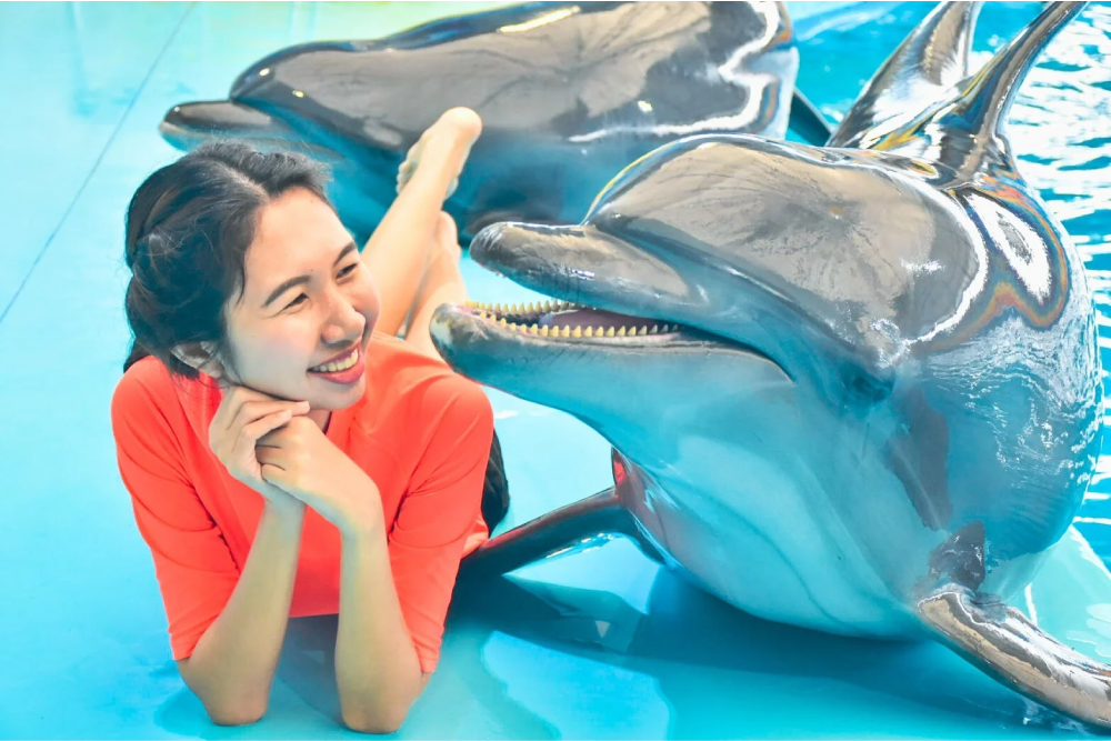 Dolphins Bay Phuket - Dolphins Bay Phuket is the only dolphinarium in Phuket where you can meet dolphins up close. At Dolphins Bay Phuket, enjoy amazing performances by dolphins and professional trainers. Learn about marine life and how to protect the ocean while having fun at Dolphins Bay Phuket. Whether you're watching the dolphins perform or interacting with them, Dolphins Bay Phuket offers an unforgettable experience for everyone. Don’t miss the chance to visit Dolphins Bay Phuket for a unique and educational adventure. Dolphins Bay Phuket - Image 5 of 5