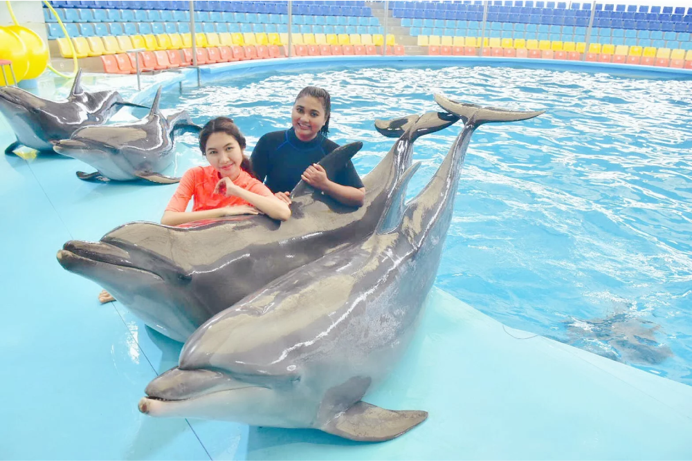 Baie des dauphins de Phuket - Image 7 of 8