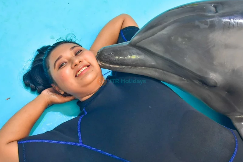 Dolphins Bay Phuket - Meet Dolphins & Enjoy Amazing Performances - JTR Holidays - Image 8 of 8